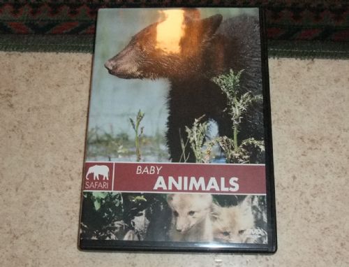 DVD Baby animals