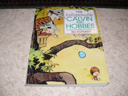 The indispensable calvin and hobbes
